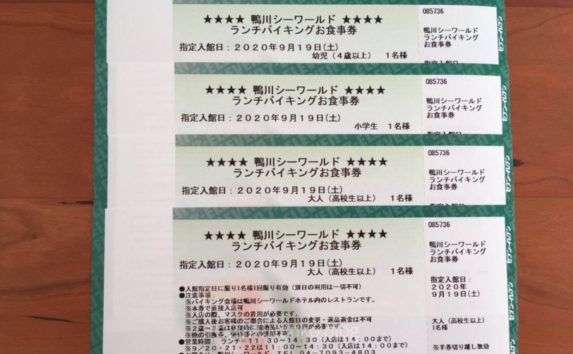 鴨川シーワールドの魅力を子供達が体験 鴨川1泊子連れ旅行 ブログ紹介 Yunko Blog 鴨川シーワールドの魅力を子供達が体験 鴨川1泊子連れ旅行 ブログ紹介 Yunko Blog