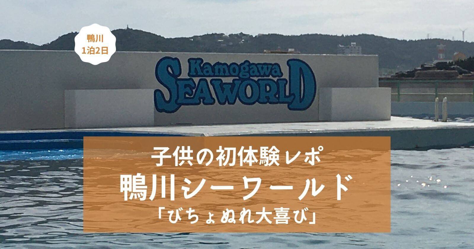 鴨川シーワールドの魅力を子供が初体験