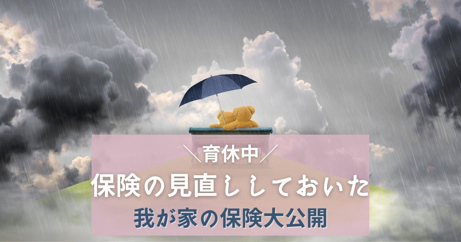 育休中に医療保険の見直しをしておいた「保険内容をブログで大公開」