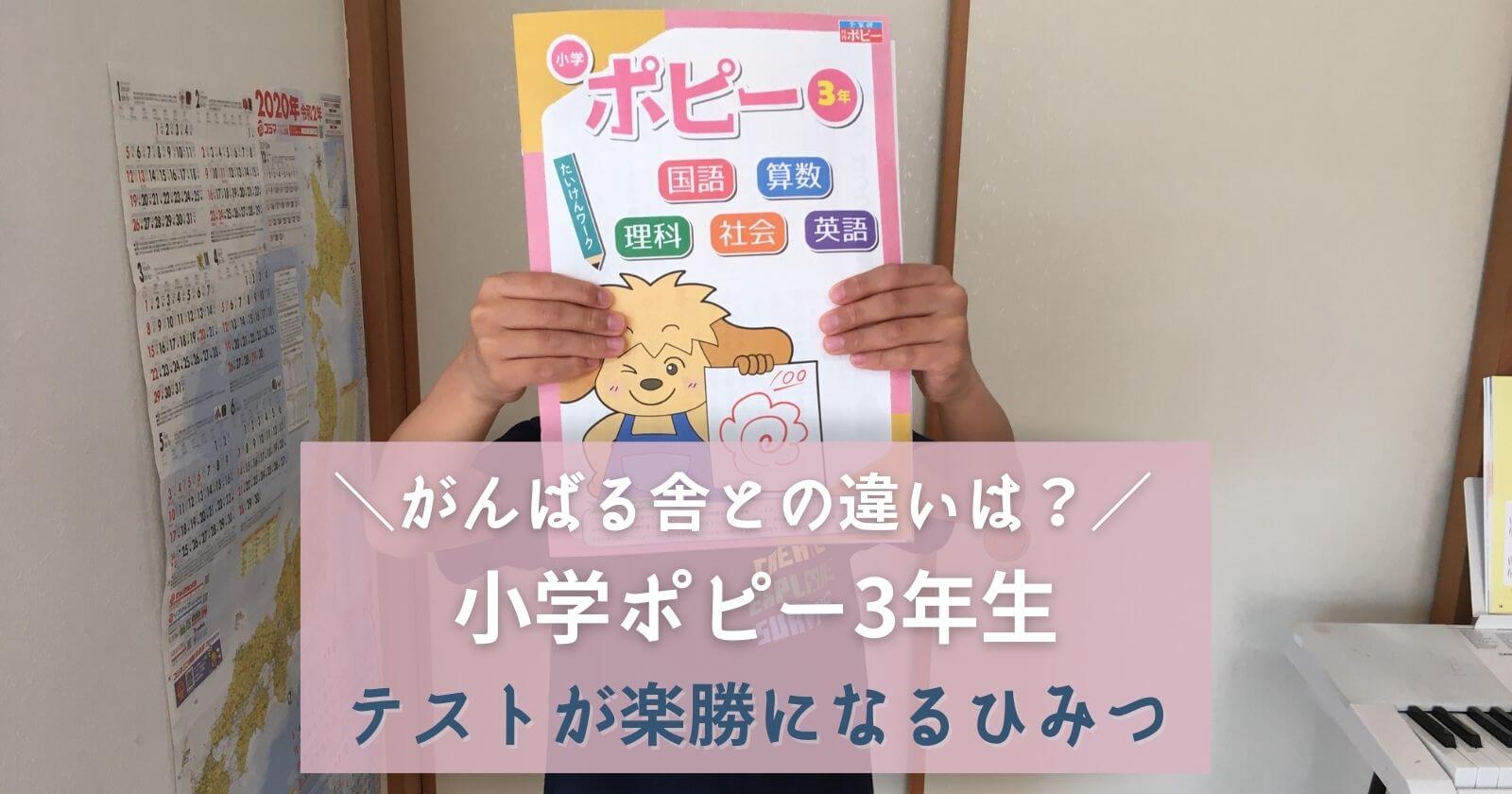 小学ポピー3年生】長男がお試し教材を体験_がんばる舎との比較を口コミ