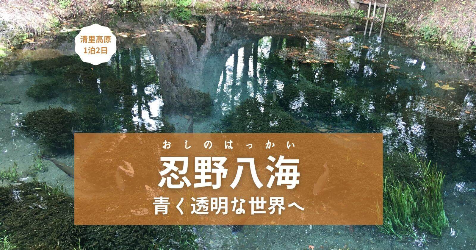 【忍野八海見どころ紹介】有料底抜池の透明度がヤバい！清里高原子連れ旅ブログレポ